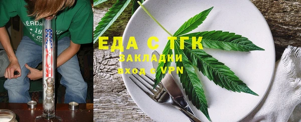 сатива Новозыбков