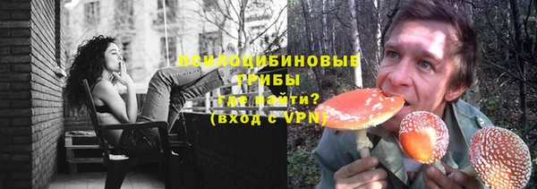 ешки Алзамай