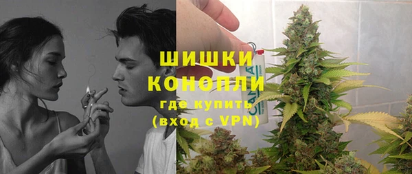 ешки Алзамай